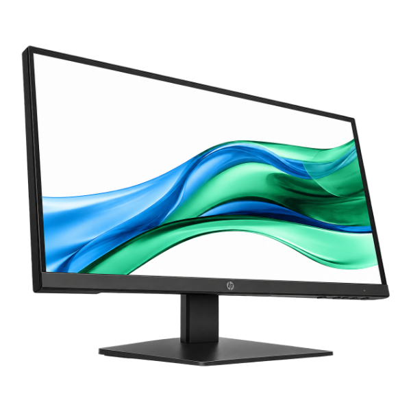 HP Monitor_01